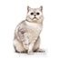 image20