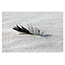 image03